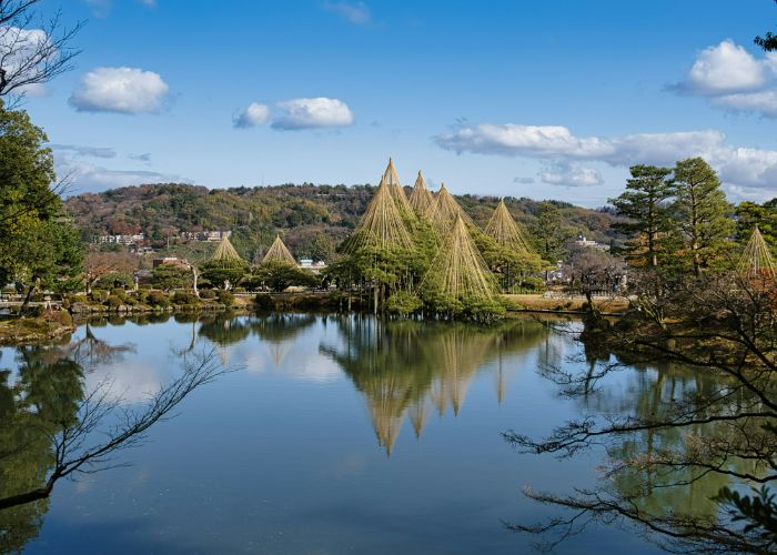 Kenrokuen Garden on a sunny day. The trees and clouds are reflected on the pond, and the trees are covered in poles to protect from heavy snow.